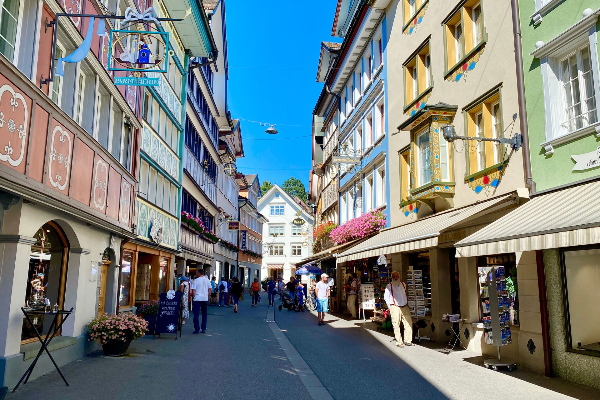 Rhinefalls & Appenzell Region Private Day Tour (from Zurich)
