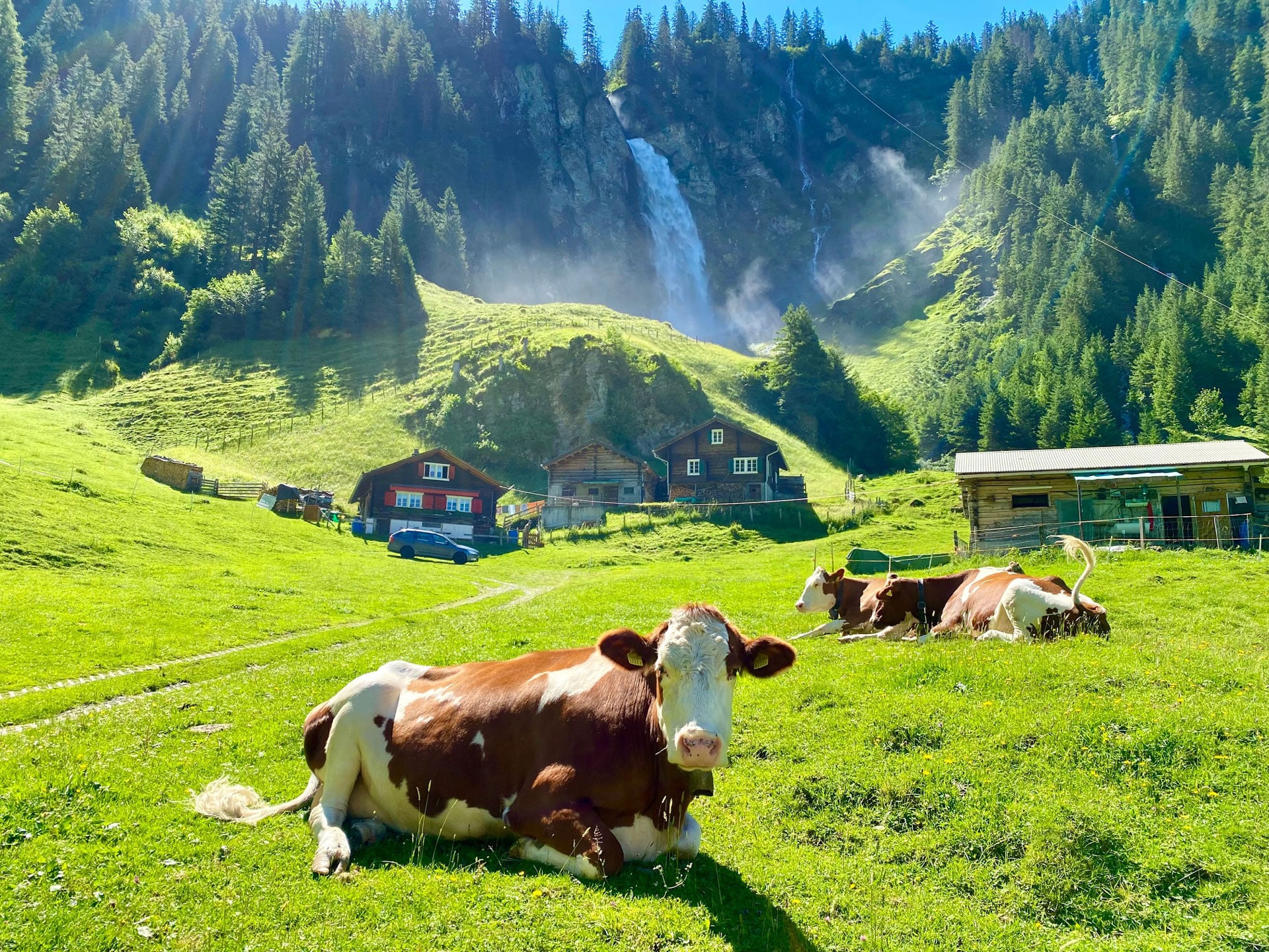 Grand Switzerland 5 Day Guided Private Tour (Zurich)
