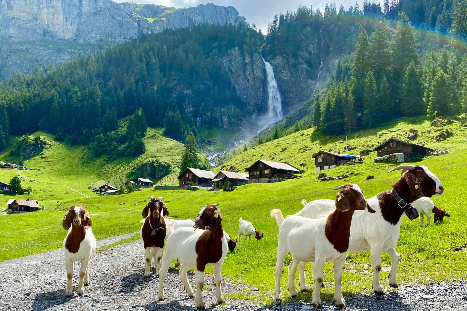 Hidden gems Private Day Tour: The Natural of Wonders of Switzerland (from Zurich)
