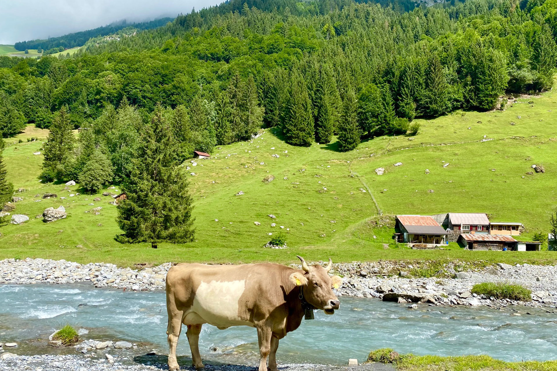 Hidden gems Private Day Tour: The Natural of Wonders of Switzerland (from Bern)