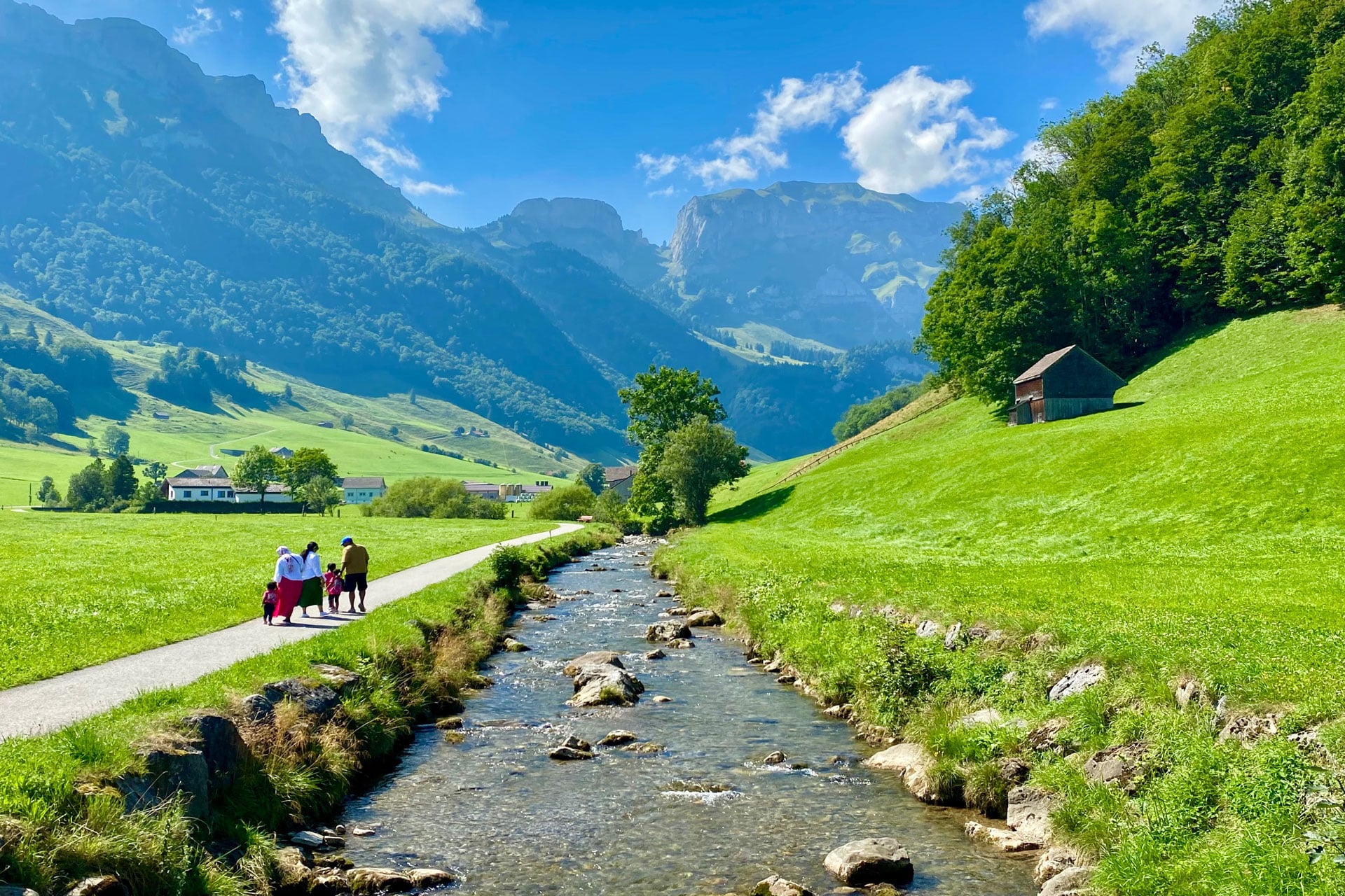Swiss Farm Experience, Appenzell & Rhine Falls Day Tour (from Basel)