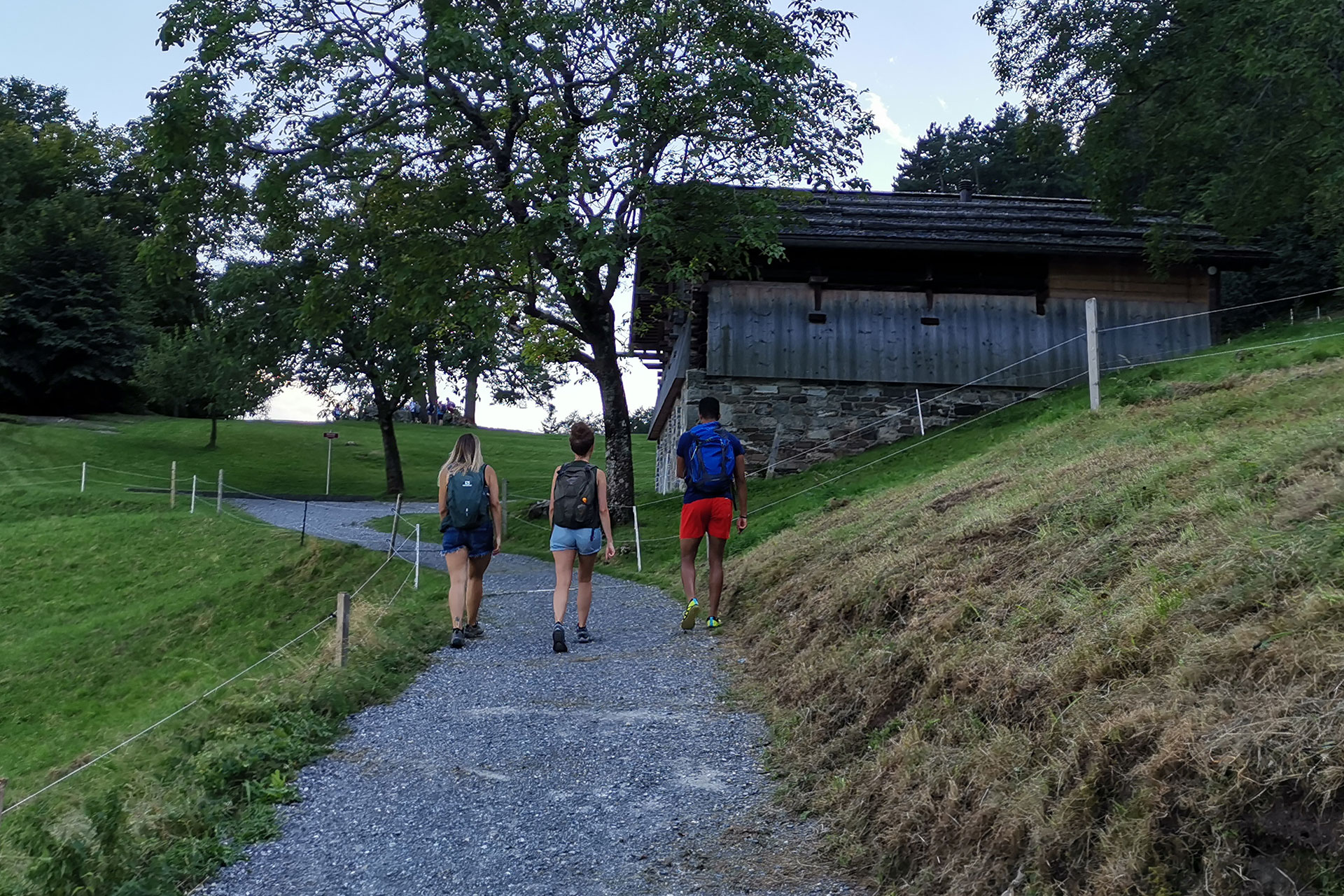 Guided Hike with an Environmental & Swiss Expert (from Bern)