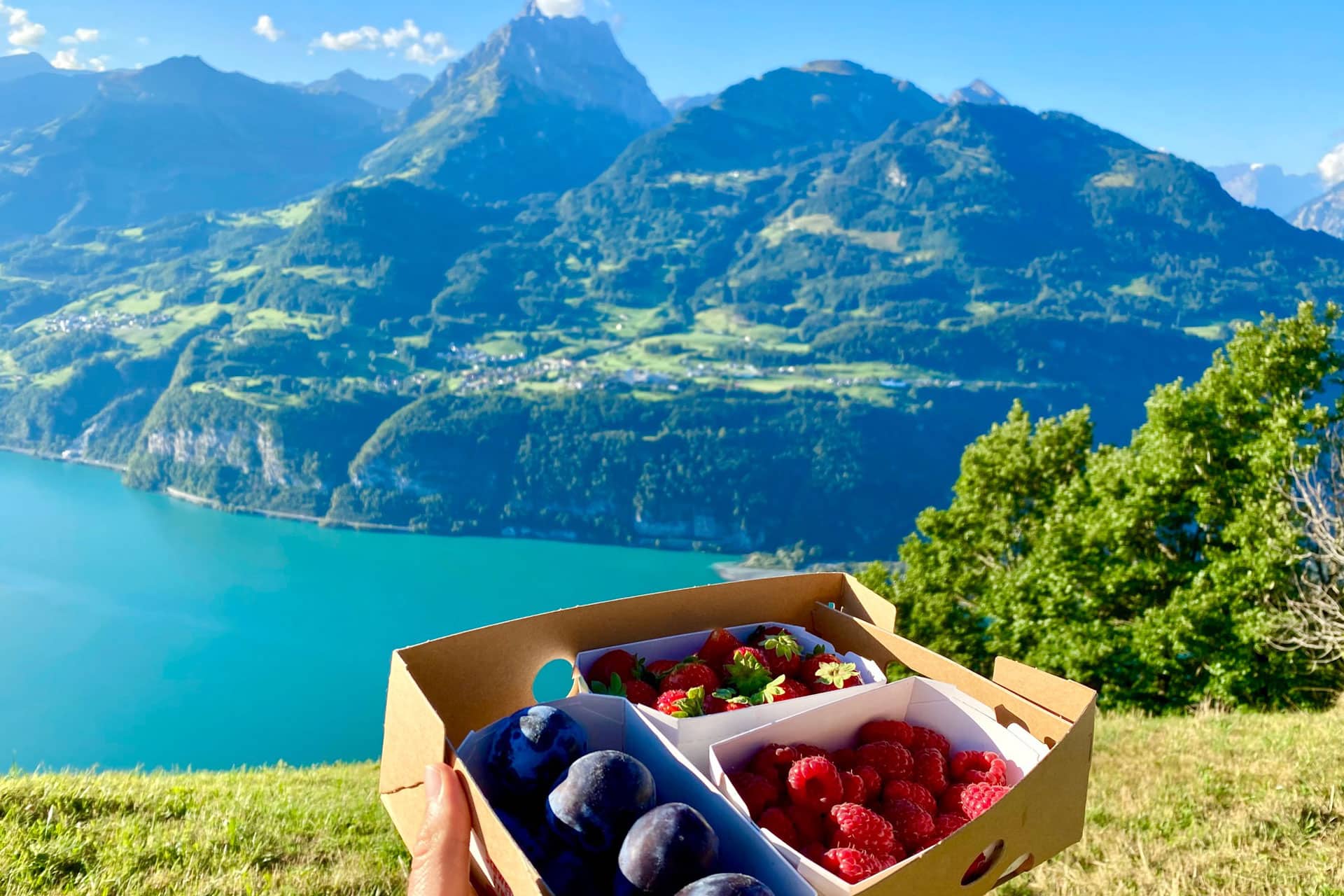 Hidden gems Private Day Tour: The Natural of Wonders of Switzerland (from Lucernce)