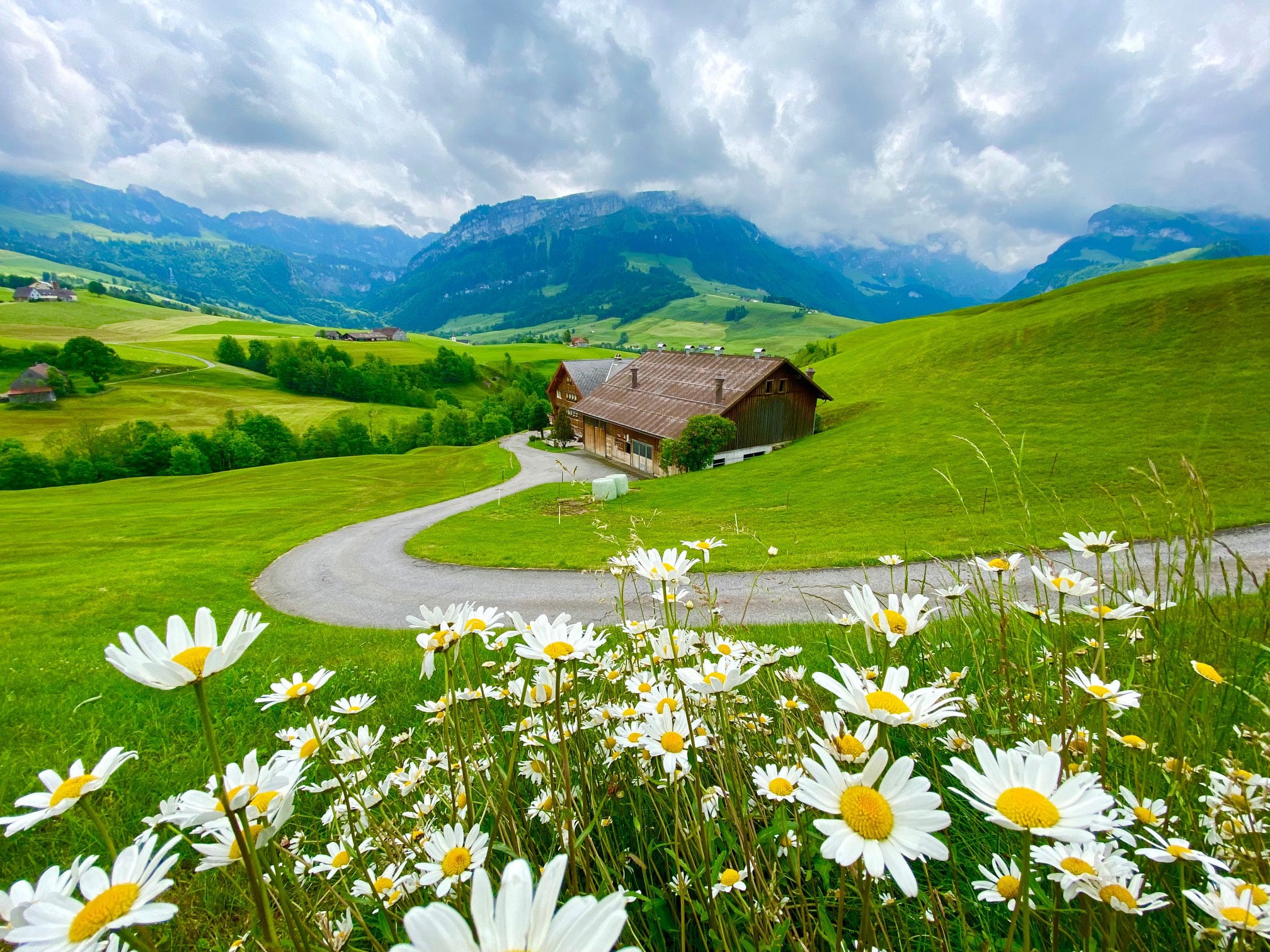 Swiss Farm Experience, Appenzell & Rhine Falls Day Tour (from Basel)