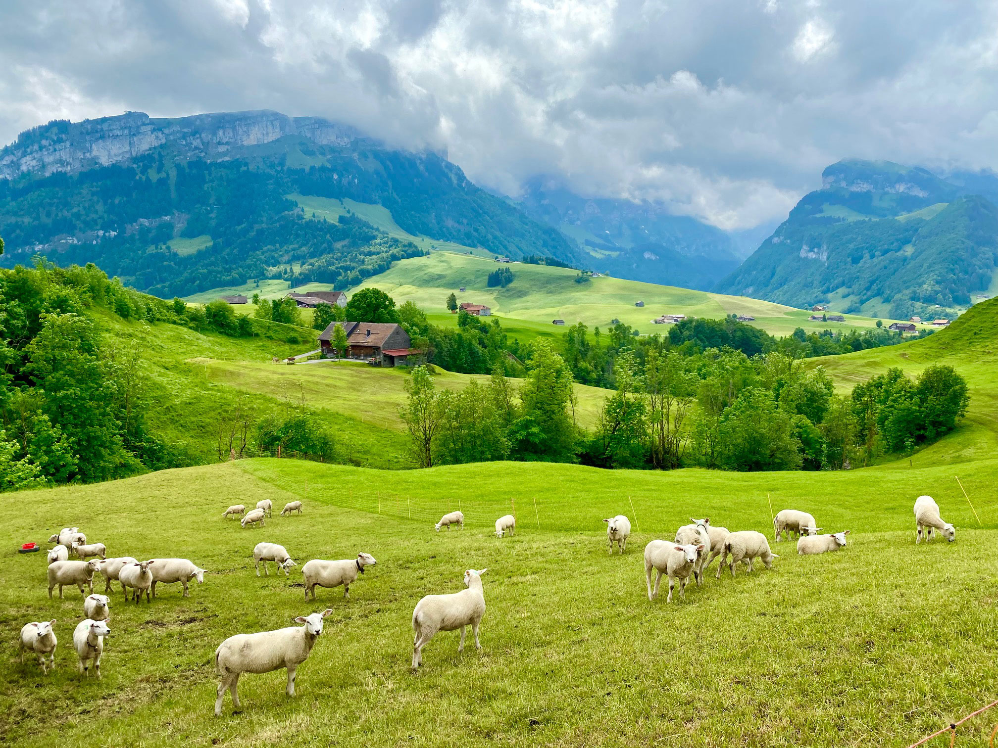 Swiss Farm Experience, Appenzell & Rhine Falls Day Tour (from Zurich)