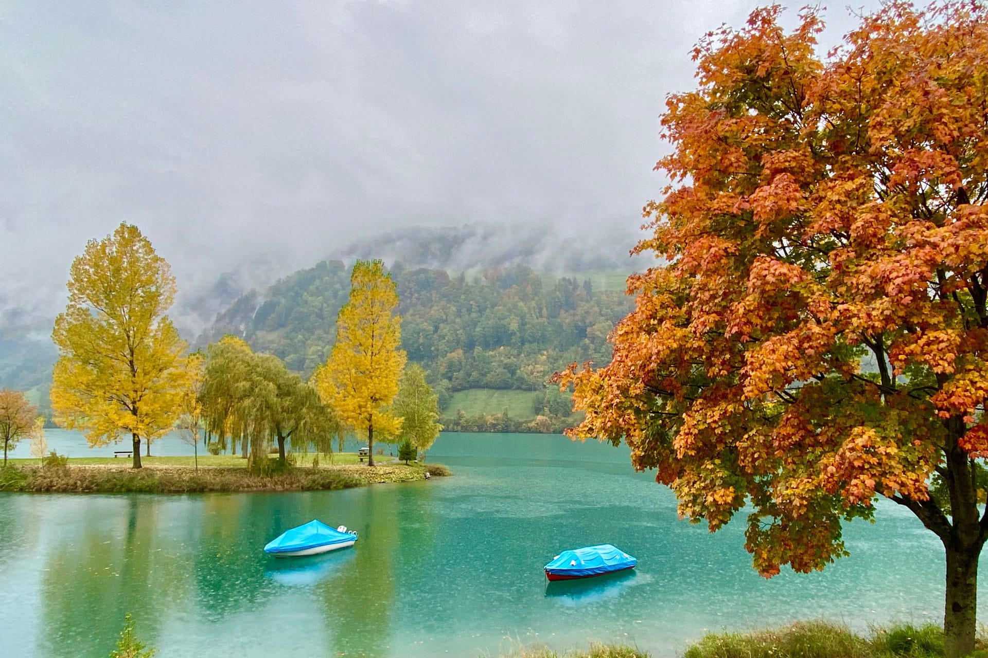 Hidden gems Private Day Tour: The Natural of Wonders of Switzerland (from Bern)