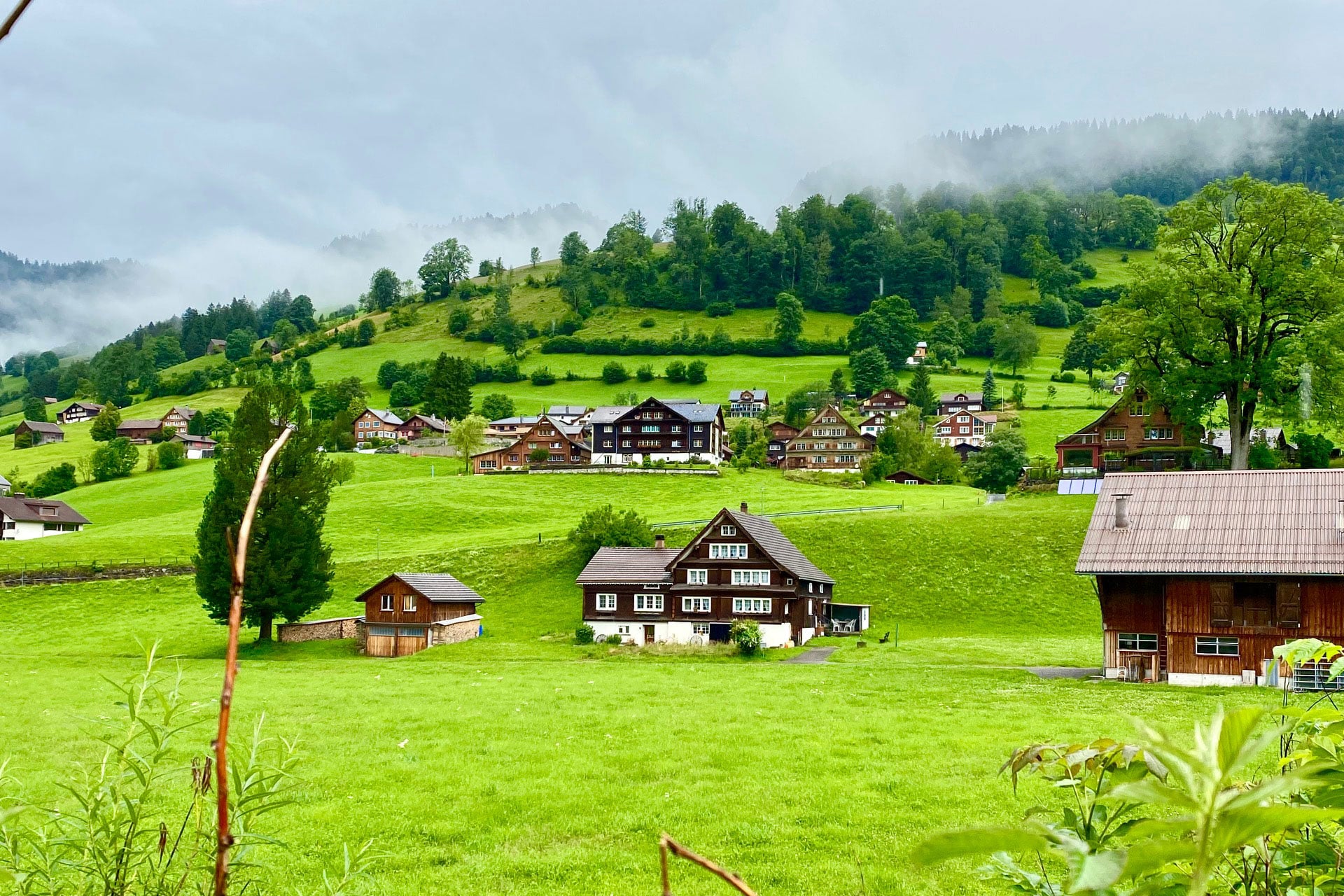 Hidden gems Private Day Tour: The Natural of Wonders of Switzerland (from Basel)
