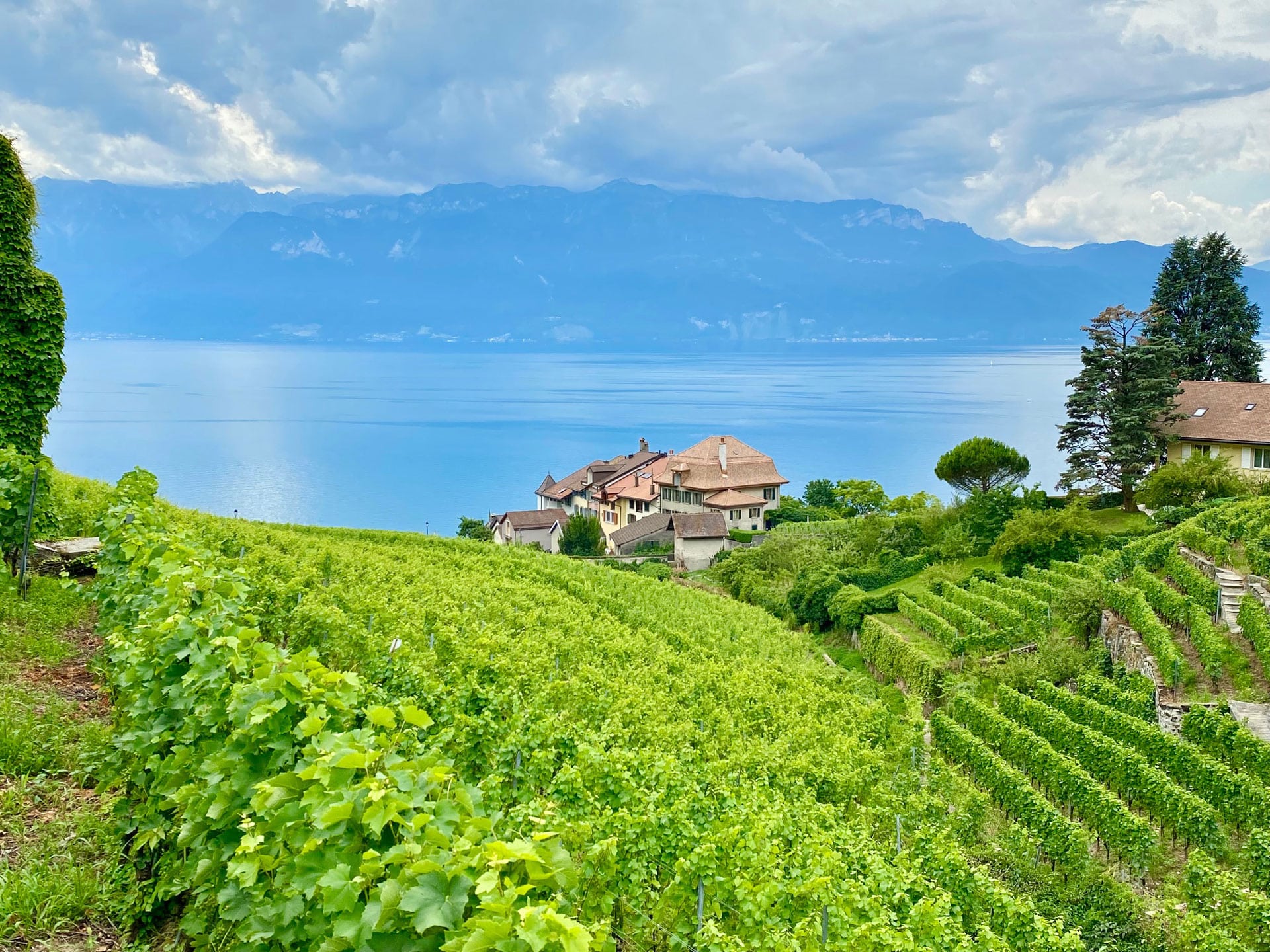 Western Switzerland 2 Days Private Tour – Between must-see places & hidden gems – Montreux, Vineyards & Grand Canyon of Switzerland (Basel)