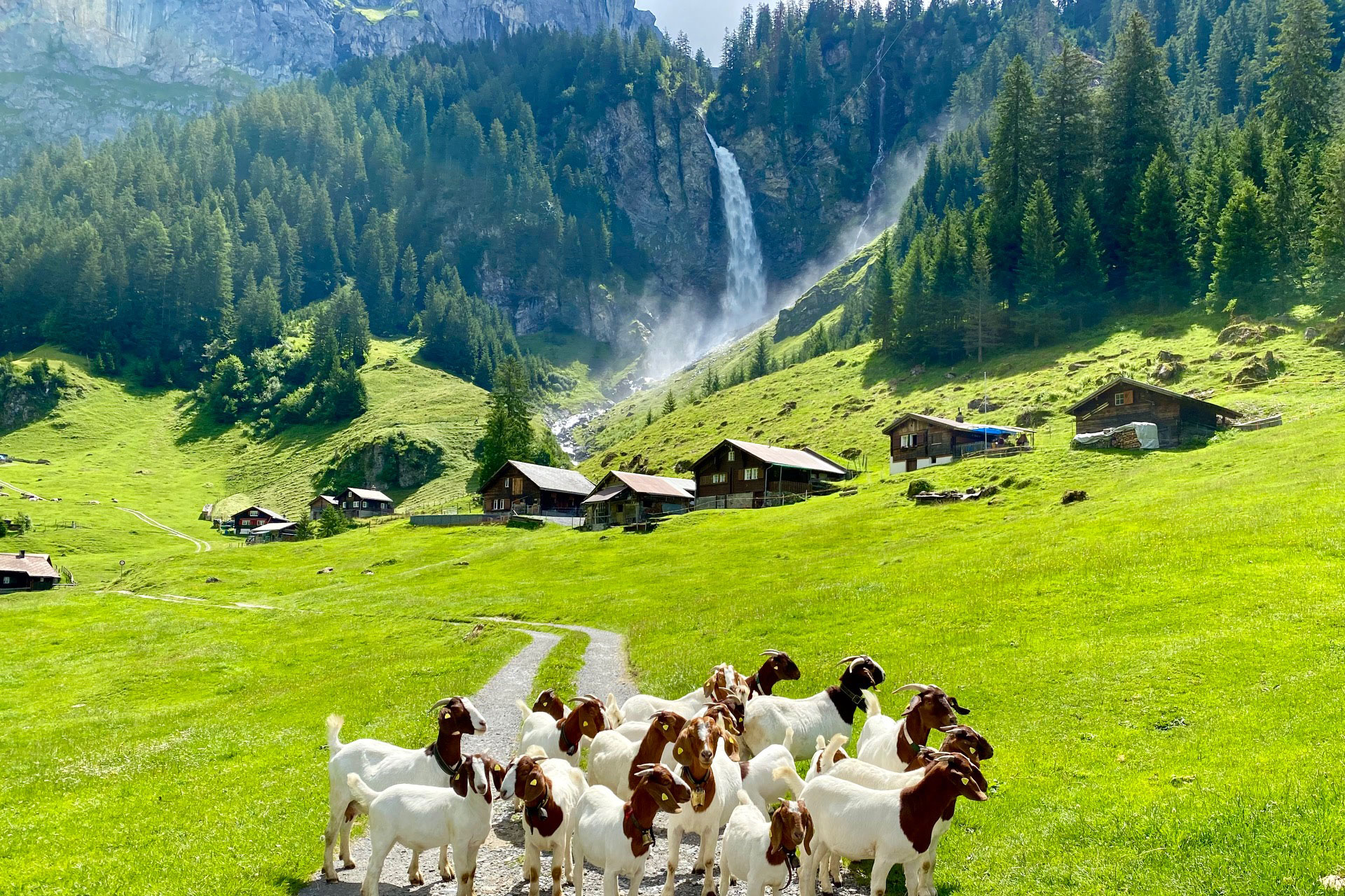 Hidden gems Private Day Tour: The Natural of Wonders of Switzerland (from Interlaken)