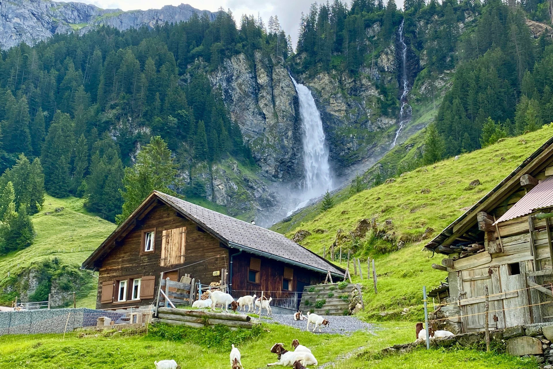 Swiss Alps & Mountain Villages Private Day Tour (from Interlaken)